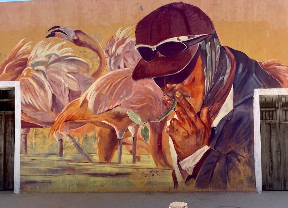 pink-flamengoes-detail-petit