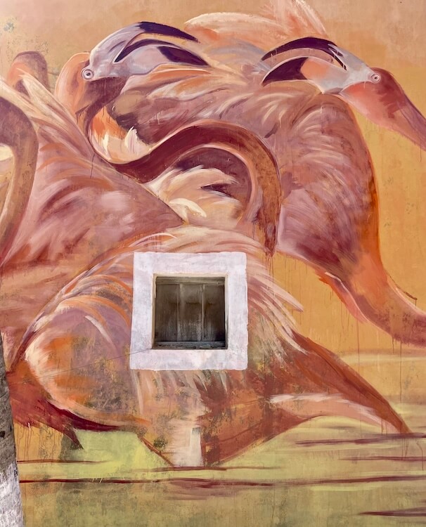 pink-flamengoes-detail-w1-petit